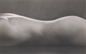 Edward Weston: "Nude"