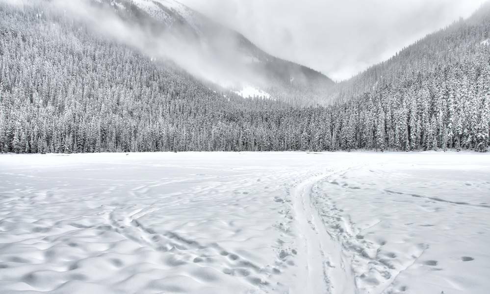 5 ΣΥΜΒΟΥΛΕΣ ΓΙΑ ΦΩΤΟΓΡΑΦΙΣΗ ΣΤΟ ΧΙΟΝΙ!
Συνδυάστε τη διασκέδασή σας με συναρπαστικές λήψεις!
https://www.nexusmedia.gr/5-tips-for-better-snow-photos/